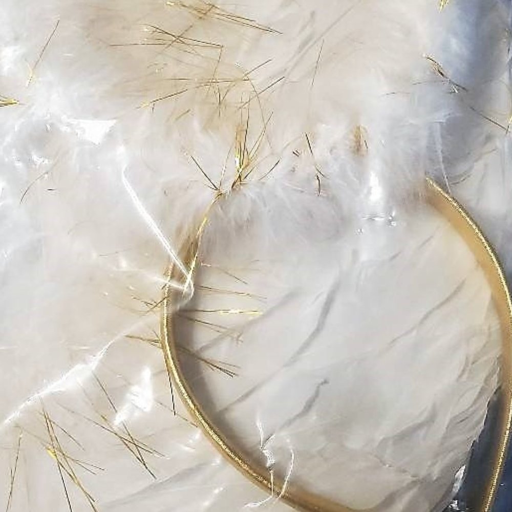 Halloween Angel Wing and Halo Unopened Brand New